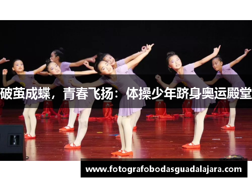 破茧成蝶，青春飞扬：体操少年跻身奥运殿堂