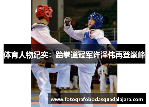体育人物纪实：跆拳道冠军许泽伟再登巅峰